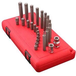 24 Pc. Ribe Bit Set